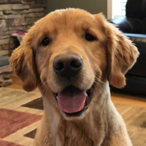 Cooper
