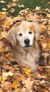 Duncan