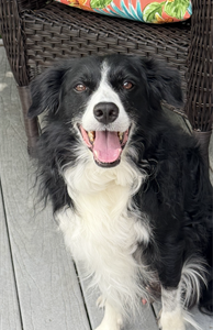 Wally