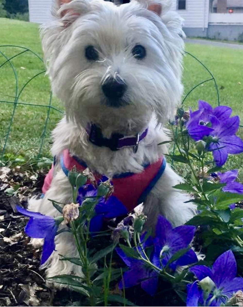 Maddie aka Madison